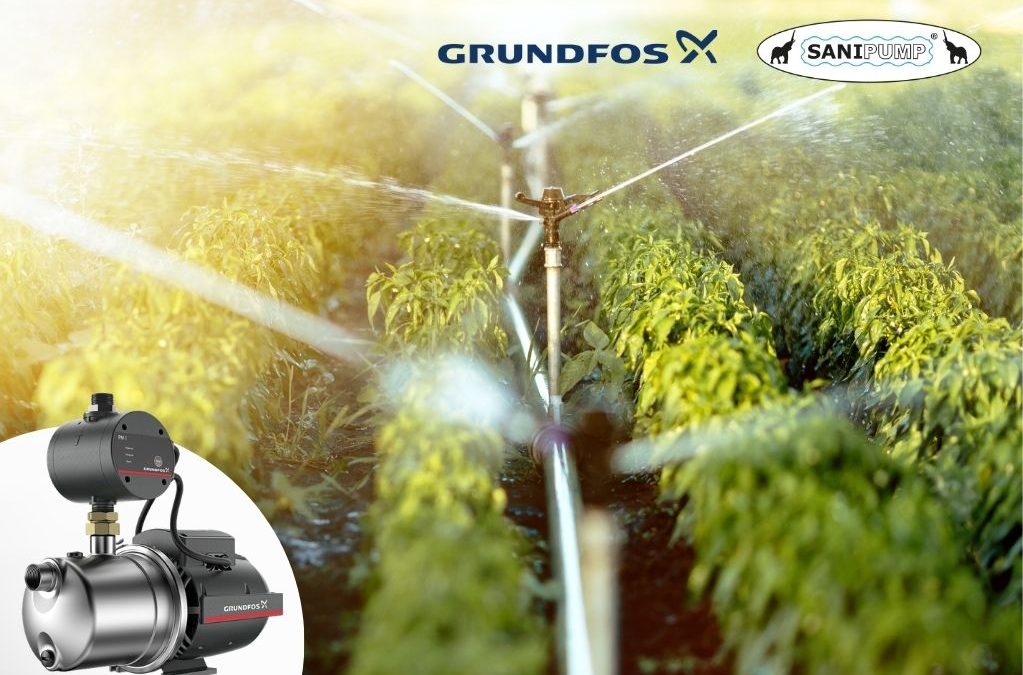 Önfelszívó szivattyú: tavaszi vízellátás okosan, gyorsan és megbízhatóan